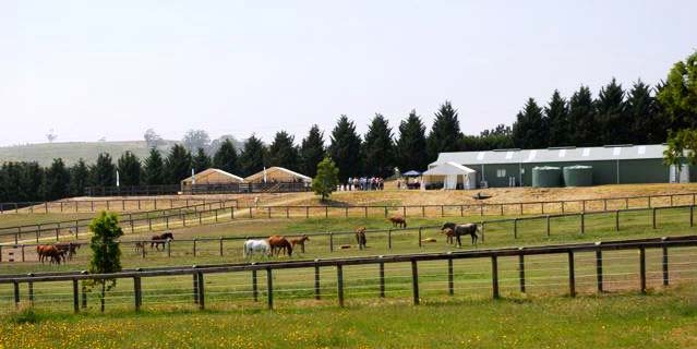 Looking up to the stables.