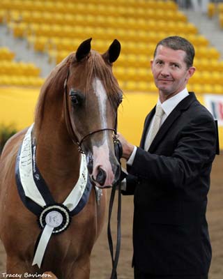 Emphatik at the Aussies