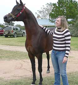 Vanessa with Gazal al Shaqab
