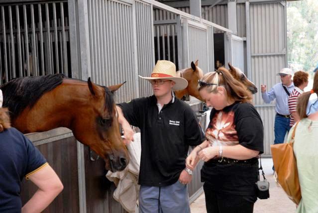 In the stables