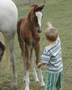 Evan with Zakir
