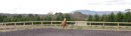 Workyard at Syrah